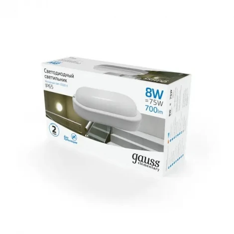 Настенно-потолочный светильник Gauss Elementary 161411308