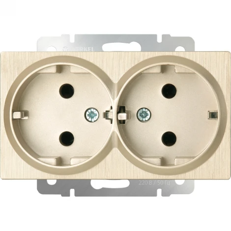 Розетка двойная с заземлением (шампань рифленый) Werkel W1172010 (a051432)
