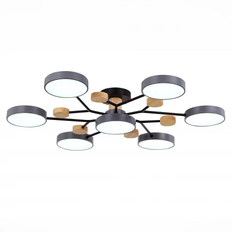 Потолочная люстра на штанге Evoluce Faema SLE6006-702-07