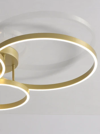 Потолочная люстра светодиодная с пультом Natali Kovaltseva Modern Ii LED LAMPS 81480 кольцо