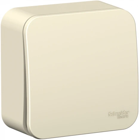 Выключатель накладной одноклавишный (молочный) Systeme Electric Blanca BLNVA061012