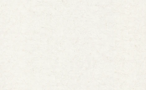 Обои виниловые Marburg Vintage Deluxe 32851 10,05 x 1,06 м