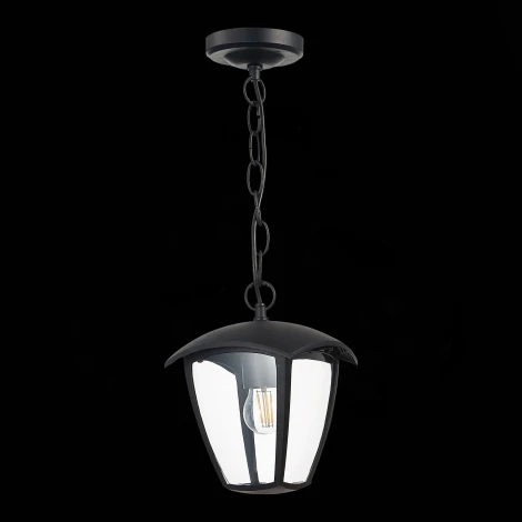 Уличный светильник подвесной ST Luce Sivino SL081.403.01