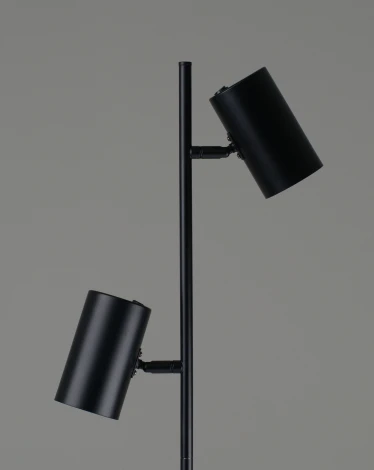 Торшер Moderli Ashes V11329-2F (220V)