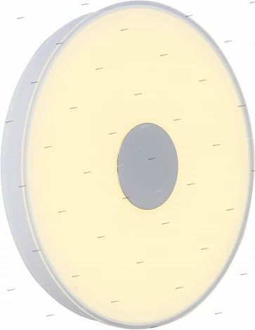 Потолочный светильник ST Luce Semplicita SL473.502.01