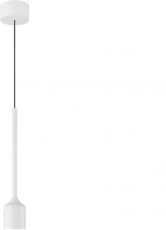 Подвесной светильник уличный IP54 LED Maytoni Apex O491PL-L8W3K (220V, на проводе, круглые)