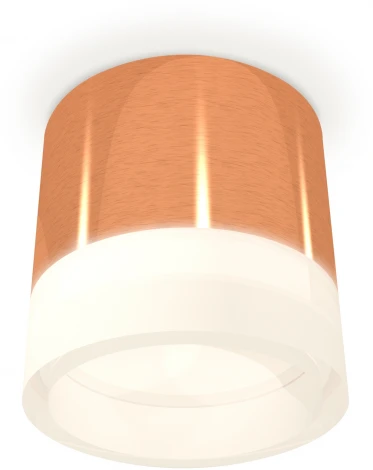 Накладной точечный светильник Ambrella Techno Spot XS8122010 (круглые)