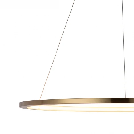 Подвесной светильник Loft IT Ring 10014L (LED, 220V, на тросе, кольцо)