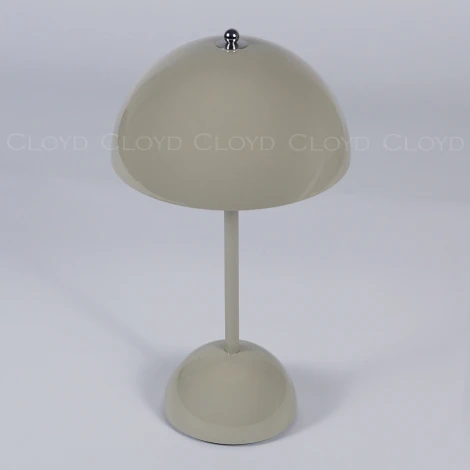 Настольная лампа светодиодная с аккумулятором Cloyd Erma 30133 (регулировка яркости, 220V)