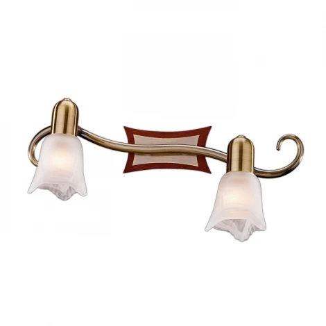 Спот Odeon Light Ilsa 1968/2W