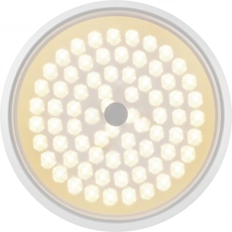 Потолочный светильник RGB круглый Freya Cells FR10012CL-L24W (LED, 220V, пульт управления, круглые)