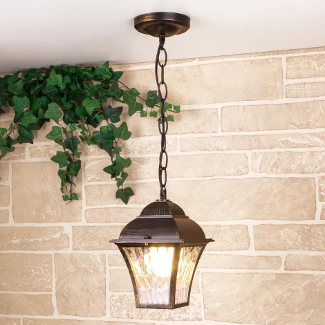 Уличный подвесной светильник 1009H Elektrostandard Apus GL a043115 (220V, на цепи, IP33)