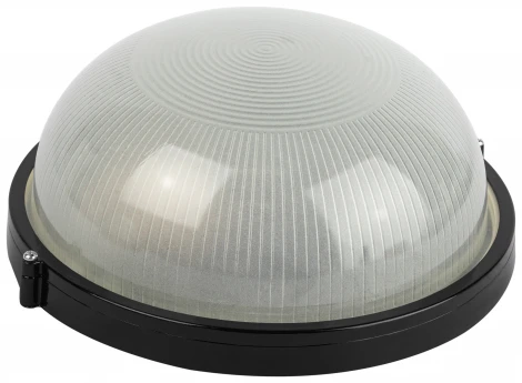 Настенно-потолочный светильник ЭРА НБП 03-100-001 в инд. упаковке НБП 03-100-001 черный