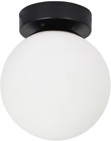 Настенно-потолочный светильник Arte Lamp Alcor A2224PL-1BK