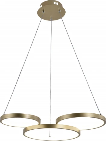 Подвесной светильник светодиодный с пультом и регулировкой цветовой температуры и яркости Rivoli Clara 6125-101 (220V, на тросе)