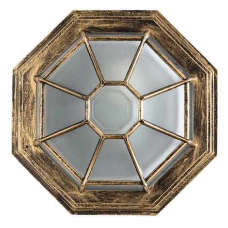 Потолочный светильник уличный Arte Lamp Pegasus A3121PF-1BN (220V, IP44)