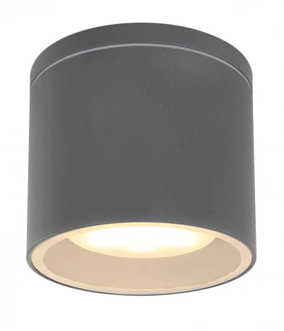 Потолочный светильник уличный светодиодный Alcala 32063A IP44 (220V, круглые)