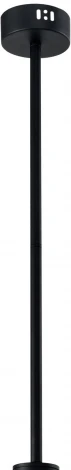 Потолочная люстра на штанге Zortes Prügel ZRS.57789.19