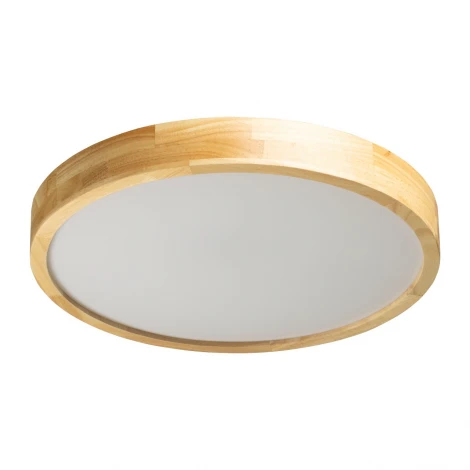 Потолочный светильник круглый светодиодный De City Норден 660015501