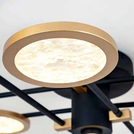 Потолочная люстра светодиодная с регулировкой цветовой температуры LED4U LED4U L3123-8