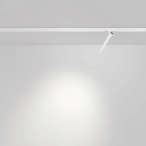 Трековый светильник однофазный Maytoni Focus T TR141-1-6W4K-M-W (LED, 220V, круглые)