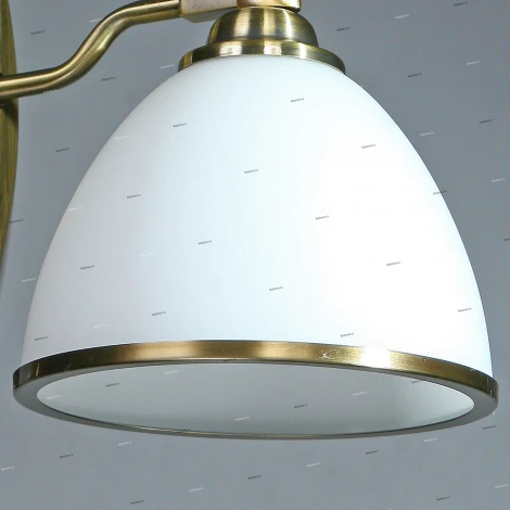 Brizzi Almeria MA02401W/001 Bronze