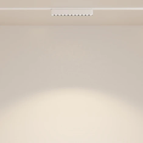 Трековый светильник Points Radity 3000K 12Вт 36° LED (магнитный) Maytoni Technical TR082-1-12W3K-M-W (48V)