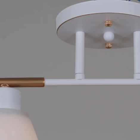 Потолочная люстра на штанге Reluce 07594-0.3-02 WG (220V)