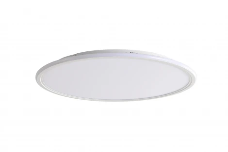 Потолочный светильник круглый с пультом Zortes Galo ZRS.10112.13 (LED, 220V, круглые)