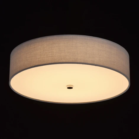 Потолочный светильник MW-Light Дафна 453011401