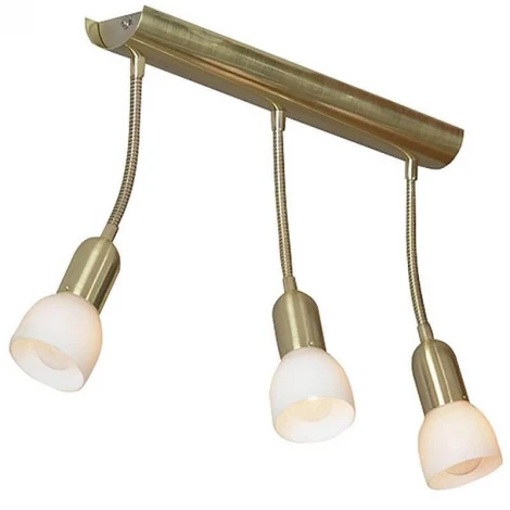 Настенно-потолочный светильник Lussole Barete LSL-7790-03