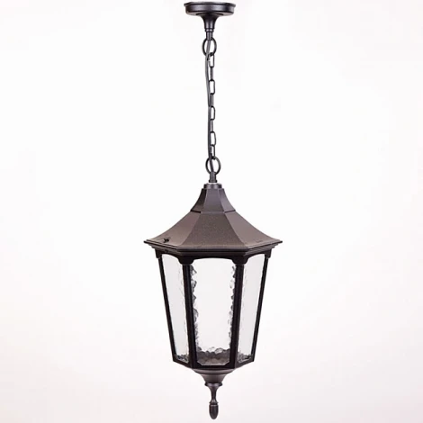 Уличный светильник подвесной Oasis Light 79705L Bl (220V, на цепи, IP44)