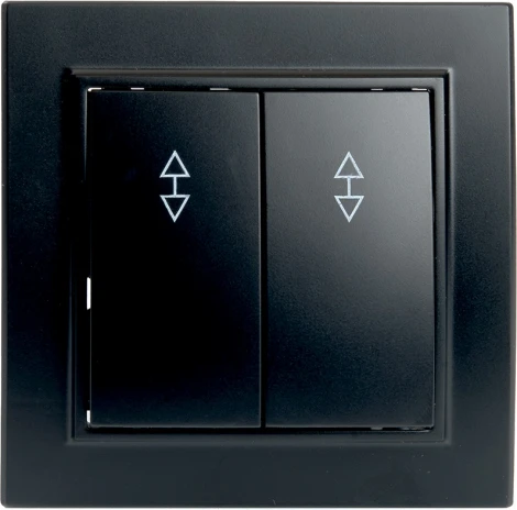 Переключатель двухклавишный (черный) Stekker Эрна 39921