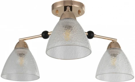 Потолочная люстра на штанге Arte Milano Napoli 324119/3 FG+BK (220V)