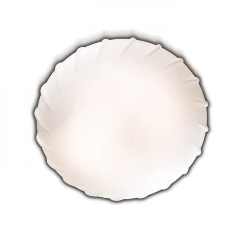 Настенно-потолочный светильник Odeon Light Opal 2247/2C