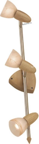 Спот Citilux Монте CL505531