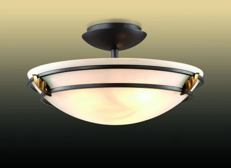 Потолочный светильник Odeon Light Osorno 2664/3C