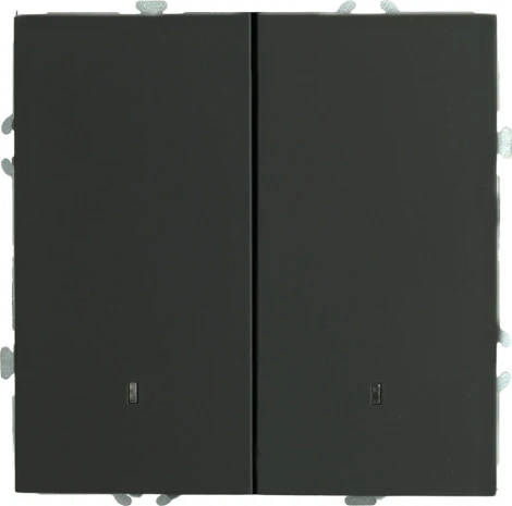 Выключатель двухклавишный с подсветкой (черный) Stekker Эмили 49838