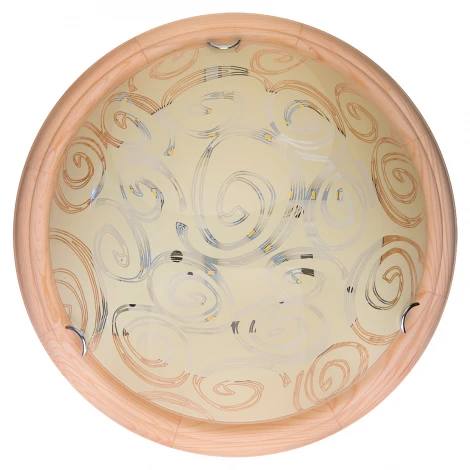 Настенно-потолочный светильник Toplight Flora TL9600Y-00PN