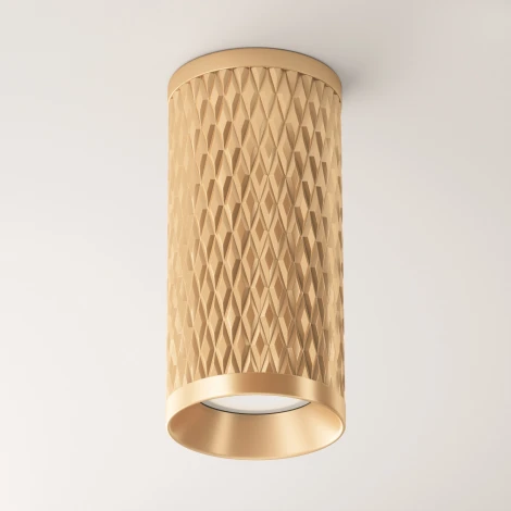 Накладной потолочный светильник Focus Design GU10 1x50Вт Maytoni Technical C036CL-01G (220V, круглые)