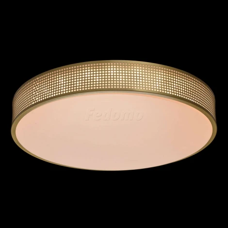 Потолочный светильник MW-Light Ривз 674015901
