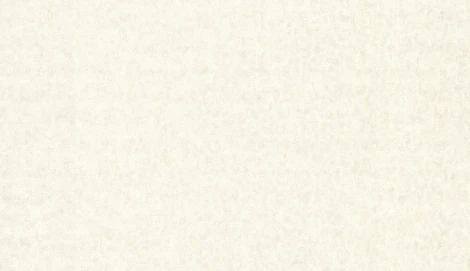 Обои виниловые Marburg Padua Classic 57328 10,05 x 1,06 м