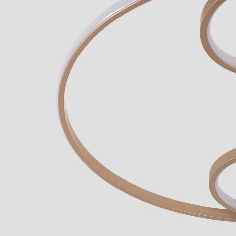 Потолочный светильник круглый F-Promo Campus 4681-4C (LED, 220V)