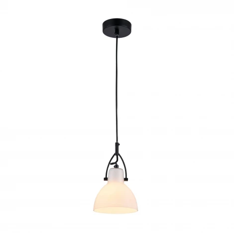 Подвесной светильник Maytoni Daniel MOD407-PL-01-B