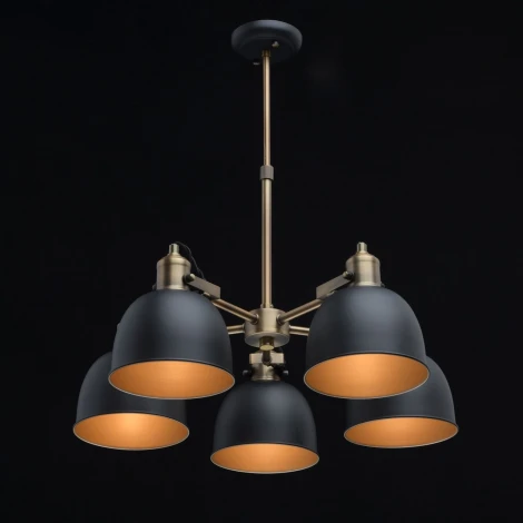 Потолочная люстра MW-Light Вальтер 551011105