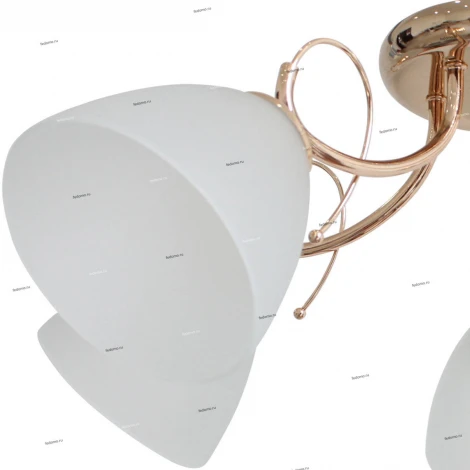 Потолочная люстра J-Light Goldy 1501/5C