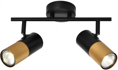 Спот на штанге Rivoli Belladonna 7073-702 (220V, круглые)