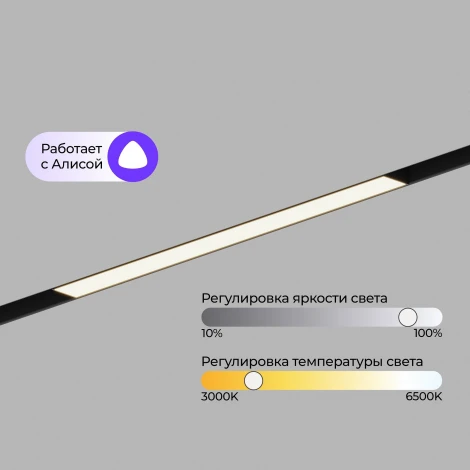 Трековый светильник магнитный светодиодный 48V 12W Hesby Lighting ElDeko HSBL_0236
