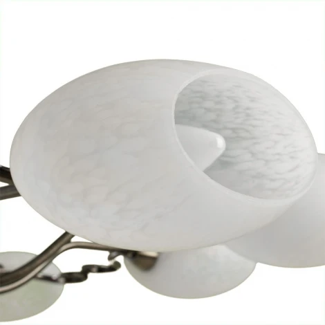 Потолочная люстра Arte Lamp Selection A6200PL-8AB