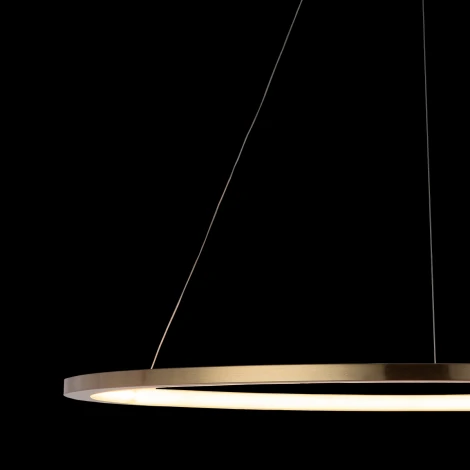 Подвесной светильник Loft IT Ring 10014XL (LED, 220V, на тросе, кольцо)